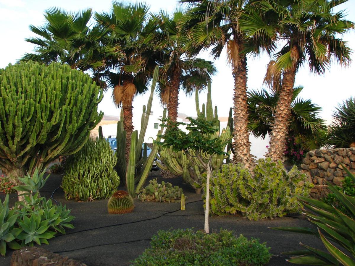 Casa Para Ti - Botanica Puerto del Carmen  Dış mekan fotoğraf